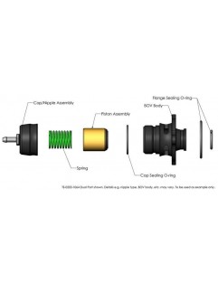 Blow Off Turbosmart Ford Focus RS 2.3 EcoBoost Dual Port