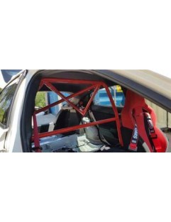 Rollbar Honda Civic X Type R typer