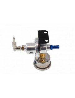 Fuel pressure regulator D1Spec SILVER