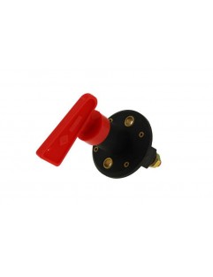 Flip-up ignition switch