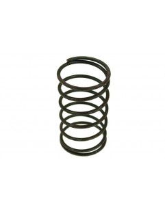 Fjäder för WasteGate 59mm 1.6 Bar