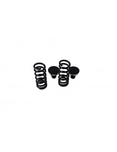 Coilover suspension Street D2 Racing AUDI A4 B6 AVANT 01-04