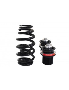 Street D2 Racing coilover suspension AUDI A6 (C7) 2WD / AWD 11+