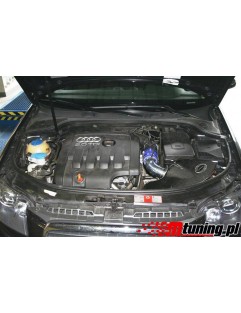 Insugssystem Audi A3 2.0 TDI 16V 05+ Kolfiber Aero Form CF661-5