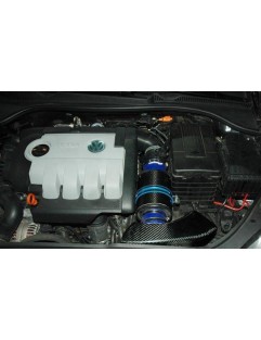 Indtagssystem VW Golf V 1.9 TDI 05+ Carbon Charger CBII-712