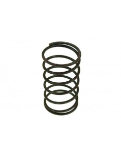 Spring for WasteGate 59mm 1.6 Bar