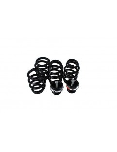 Coilover kit Street D2 Racing AUDI A4 B6 (4WD) 02-04