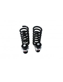 Street D2 Racing coilover suspension BMW F20 4 / 6CYL CYL (ekskl. M-Technik.xDrive & EDC) 10+