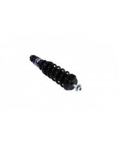 Street D2 Racing MINI COOPER (R53) 01-06 coilover suspension