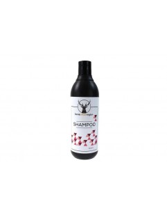 Daniel Washington Shampoo 0.5L (Shampoo)