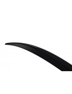 Aileron Lip Spoiler - BMW X6 / E71 PERFORMANCE (ABS)