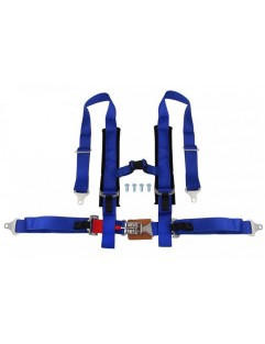 4p 2 "Blue sports belts - DTM