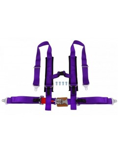 4p 2 "Purple sports belts - DTM