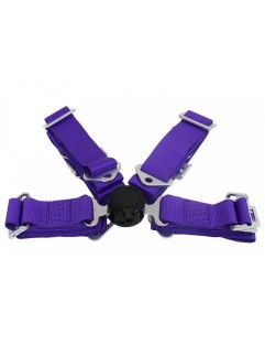 Sports belts 4p 2 "Purple - Quick