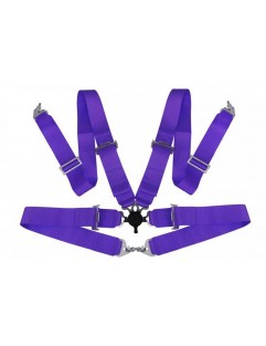 4p 3 "Purple Sports Belts - Quick