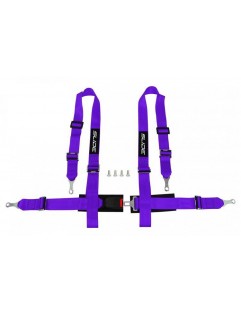 SLIDE 4p 2 "Purple sports belts