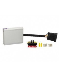 Ecumaster Drive By Wire module
