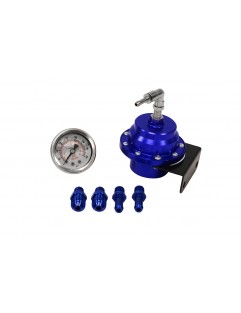 TurboWorks AN6 fuel pressure regulator + BLUE clock