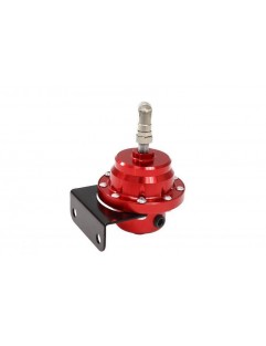 TurboWorks AN6 fuel pressure regulator + RED clock