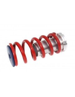 Adjustable springs Honda Civic 1988-2000 red