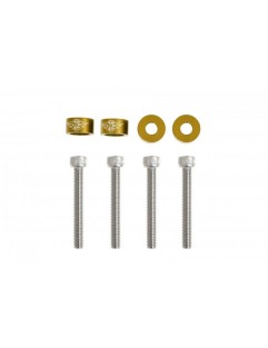 Decorative screws M6x1.0 45mm JDM Gold