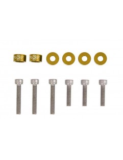 Honda Gold VTec valve screws