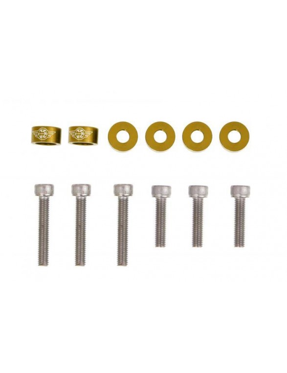 Honda Gold VTec valve screws