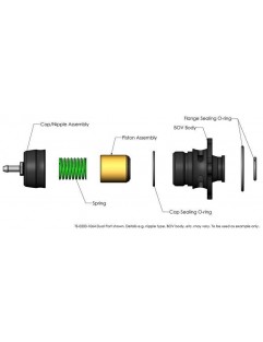 Turbosmart puhaltaa Ford Mustang 2.3 EcoBoost Plumb Back