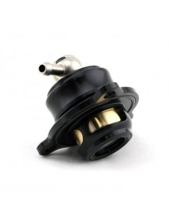 Blow Off Turbosmart Mini Cooper S JCW (06-13) Plumb Back EVR06