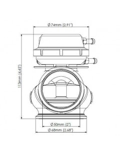 Turbosmart Wastegate 50MM 1.0 Bar Pro-Gate Lite Sort ekstern