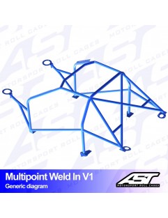 SEAT Ibiza (6L) roll cage 3-door Hatchback multi-point welded on V1