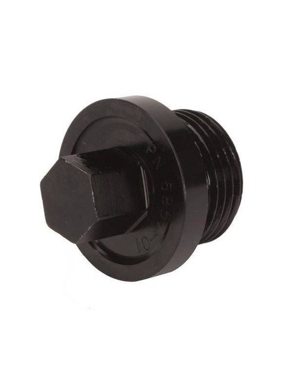 Winters 1-1 / 16 "x 12 differential inspection plug