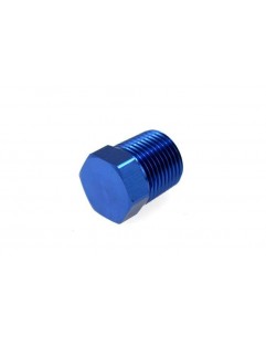 1/4 "-18NPT End Cap