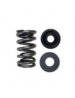 A set of double valve springs, steel valve cups and valve seats (Honda K20A / K20Z, F20C / F22C - HIGH LIF