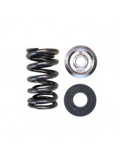 Set of double valve springs, titanium valve cups and valve seats (Honda K20A / K20Z, F20C / F22C - HIGH LI