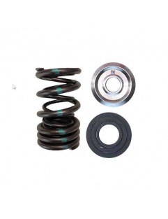 Set of double valve springs, titanium valve cups and valve seats (Honda K20A / K20Z, F20C / F22C - RACE / LT