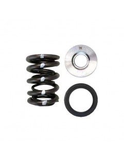 Set of double valve springs, titanium valve cups and valve seats (Nissan KA24DE)