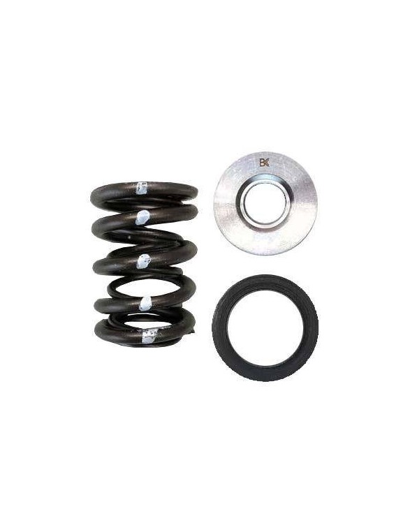 Set of double valve springs, titanium valve cups and valve seats (Nissan KA24DE)