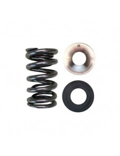 Dobbelt ventilfjedre, titanium ventilskåle SEAT / VALVE SEAL KIT (Mitsubishi 4G63 / Evo)