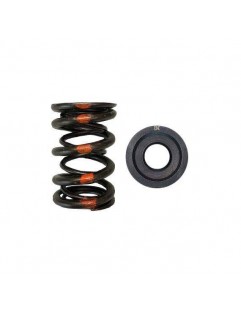 Double valve spring kit, titanium valve cups (Honda / Acura B18A / B18B / B20B)