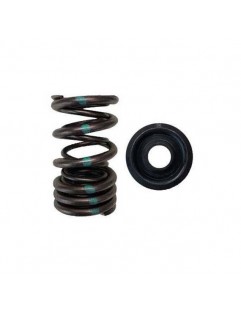 Double valve spring kit and steel valve cups - (Honda / Acura K20A, F20C / F22C - High Mileage