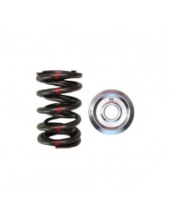 Double springs and Titanium Valve Bowl Set (Honda H22 - RACE & LIMITED STREET)