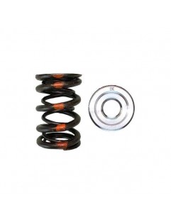 Dual springs and Titanium Valve Bowl Set (Honda / Acura B18A / B18B / B20B)