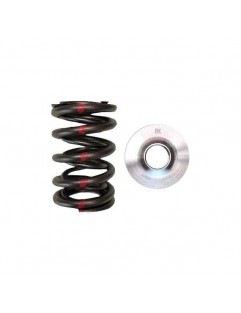 Double springs and valve cup kit titanium (Nissan SR20VE)