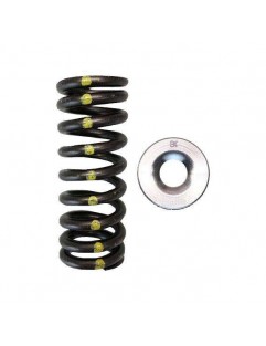 Single valve spring kit / titanium plate (Honda D16Y8 / D16Z6)