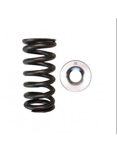 Single valve spring kit / titanium plate (Honda L15)