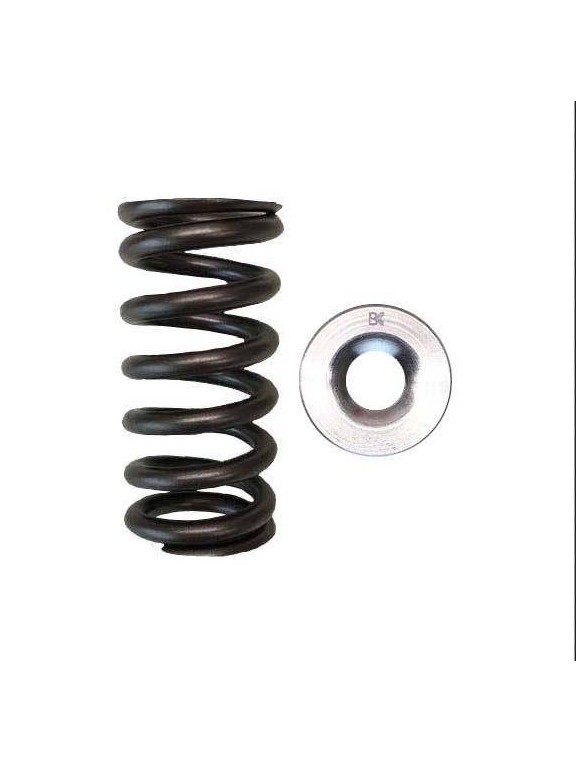 Single valve spring kit / titanium plate (Honda L15)