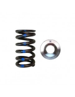 Single valve spring kit / titanium plate (Mitsubishi 4G63 Eclipse / Evo)