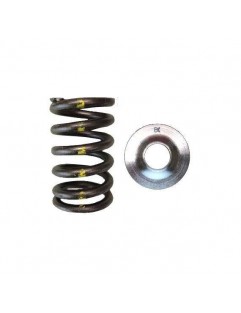 Single valve spring kit / titanium plate (Mitsubishi 6G72)