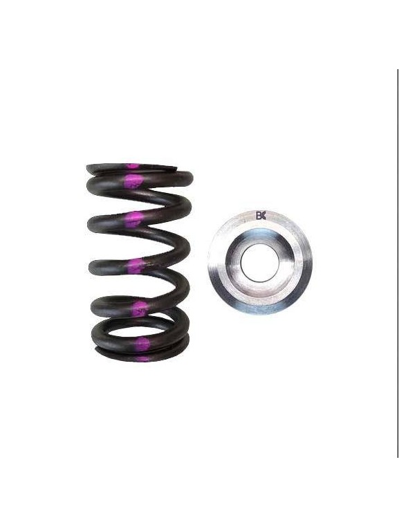 Single valve spring kit / titanium plate (Nissan QR25DE)